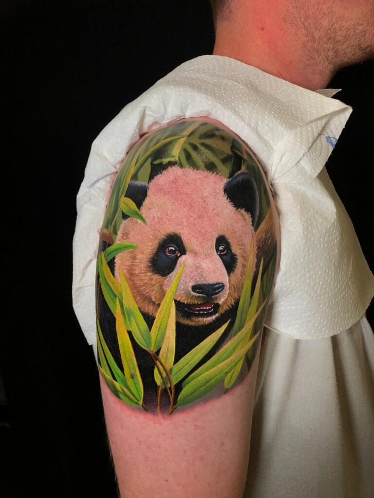 tattoo anansi münchen munich joe török tiere panda bär bear tier animal color realismus tätowierer artist art